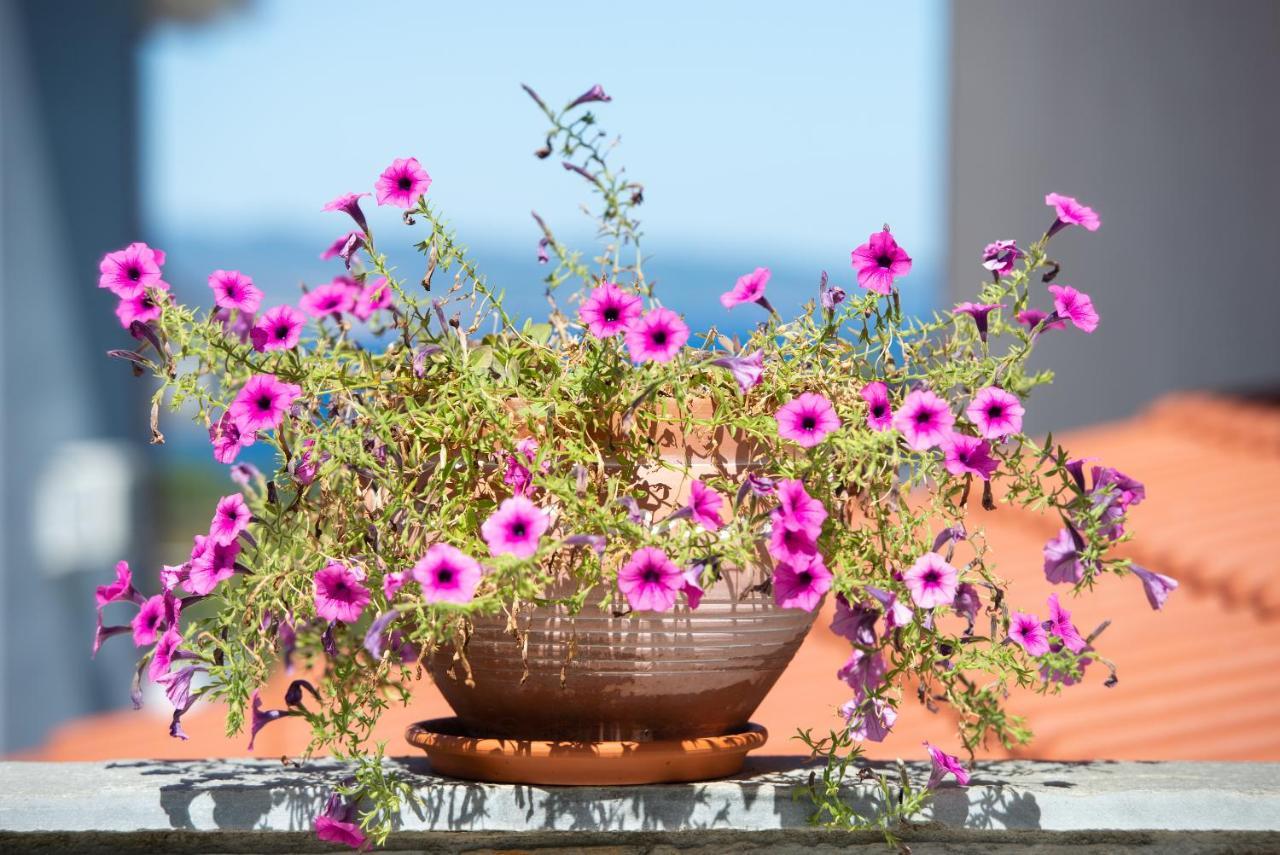 Xalonia Seaview Apartment Agios Nikolaos (Chalkidiki)